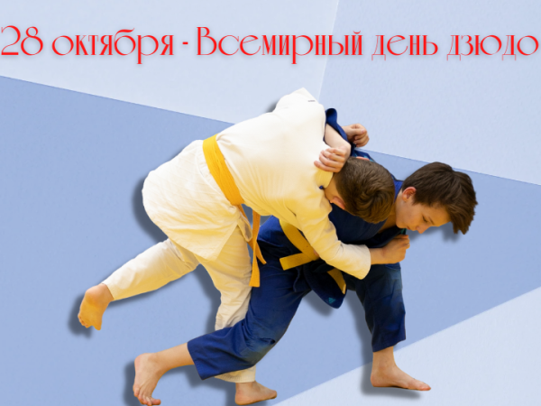 28 Октября день дзюдо