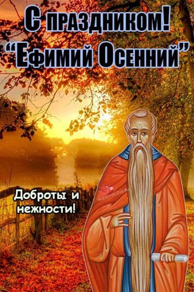Ефимий осенний 28 октября картинки