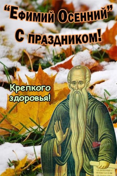 Ефимий осенний