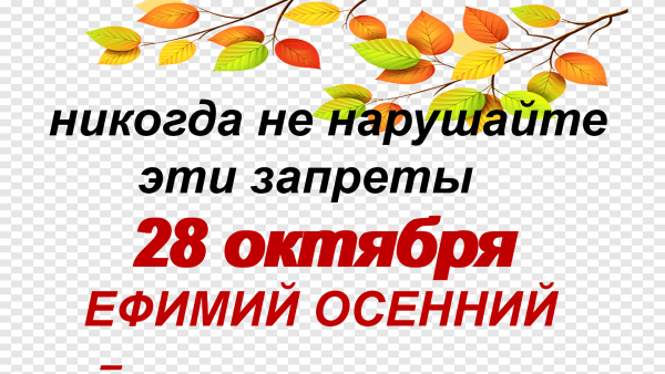 День Ефимия осеннего 28 октября