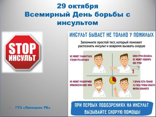 Всемирный день борьбы с инсультом буклет