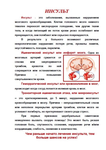 Информация к Всемирному Дню борьбы с инсультом