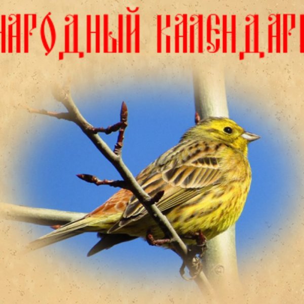 Овсянки, Ярило с овсянкой, Ярило с бороной