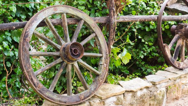 Осия Колесник