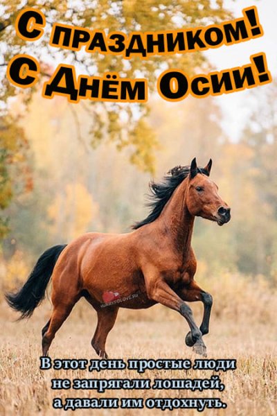 Всемирный день жизни 30 октября картинки с надписями