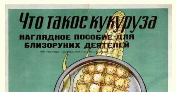 Плакат посвященный кукурузе