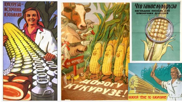 Хрущев Никита Сергеевич кукуруза плакаты