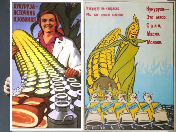 Кукуруза царица полей Хрущев