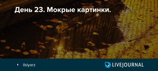 День мокрых корок 30 октября