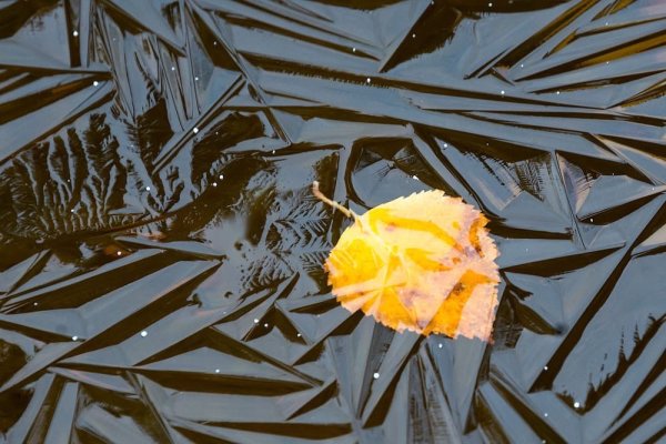 Лед на лужах