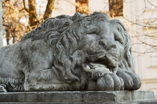 Львы лежачие а СПБ