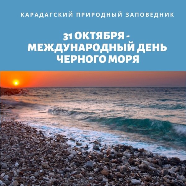 День черного моря
