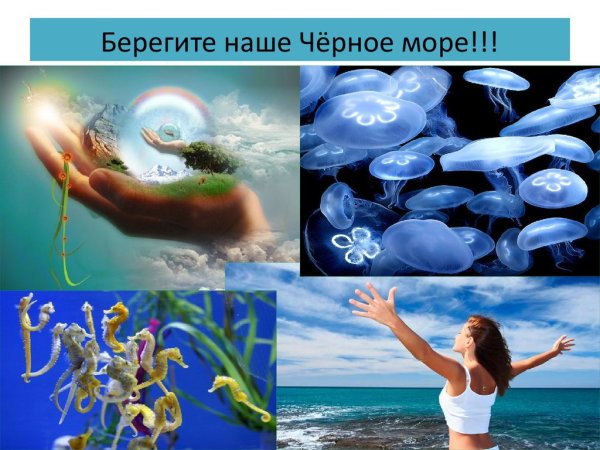 Берегите черное море