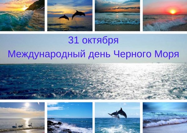 Международный день черного моря 31 октября картинки