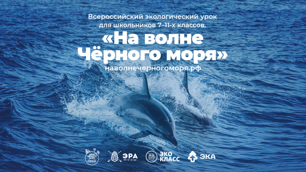 Черное море волны