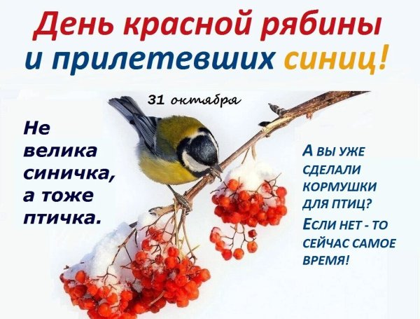 День синички выставка