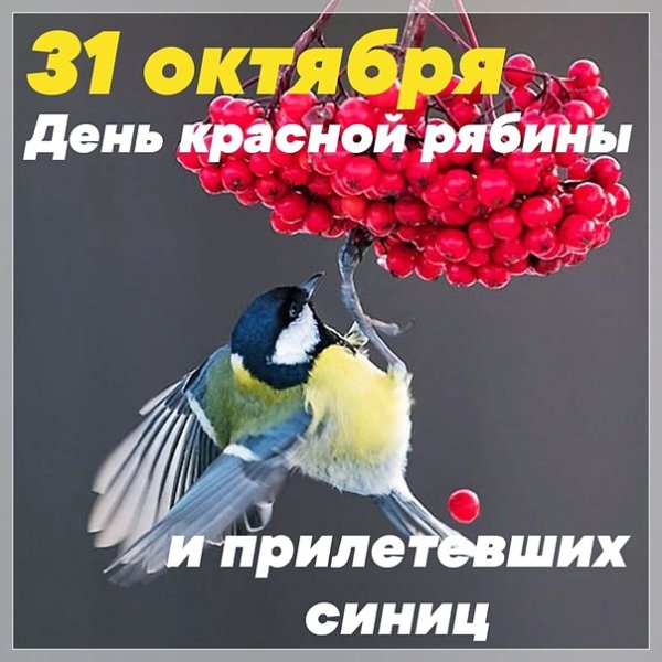День красной рябины и прилетевших синиц 31 октября