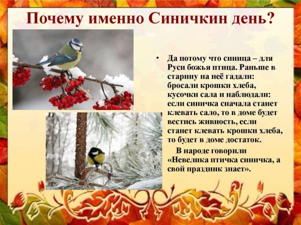 Синичкин день презентация