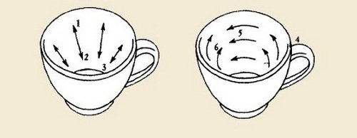 На рисунке чашечка обозначена цифрой