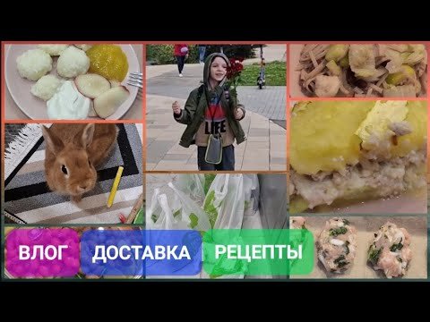 Плакаты День приготовления еды своим питомцам (49 фото)