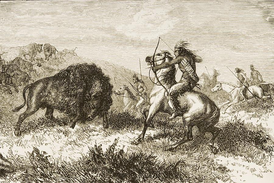 Охотились на бизонов. Охота на бизонов в 19 веке. Охотники на бизонов в 19век. Охота индейцев на бизонов.