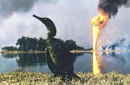 Защита окружающей среды во время войны