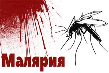 Малярия меры предосторожности