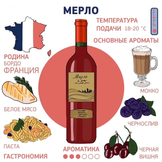 Международный день Мерло 7 ноября