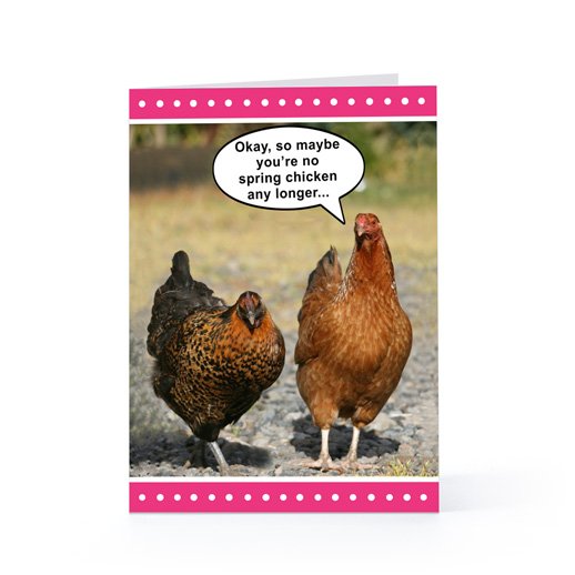 Открытка Международный день кур