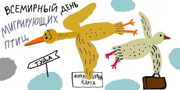 10 Мая Всемирный день мигрирующих птиц