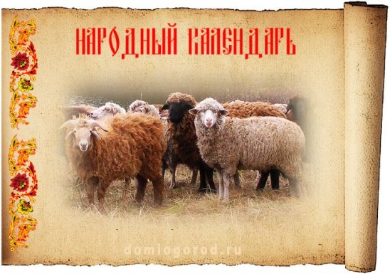 Плакаты Аврамий Овчар и Анастасия Овечница (53 фото)