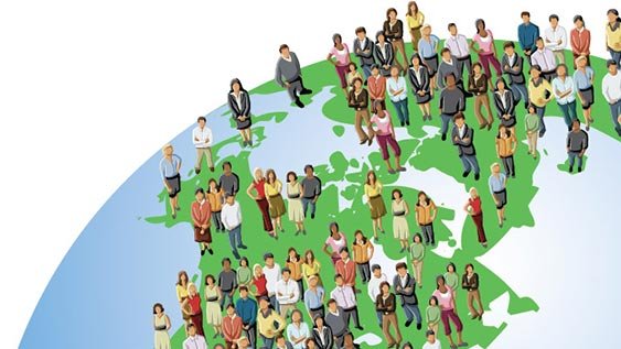 Социология одной картинкой