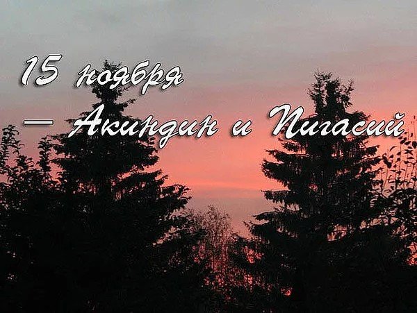 Акиндин и Пигасий народный праздник