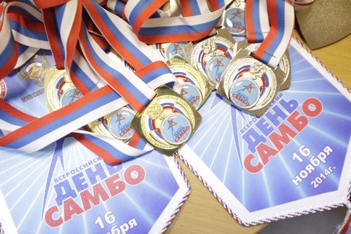 Всероссийский день самбо какую сделать поделку