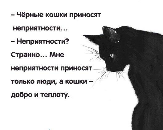 Стих про черную кошку