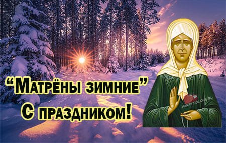 Матрона зимняя