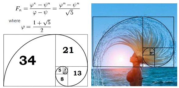 Число Фибоначчи Золотая спираль