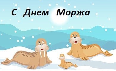 День моржа рисунок