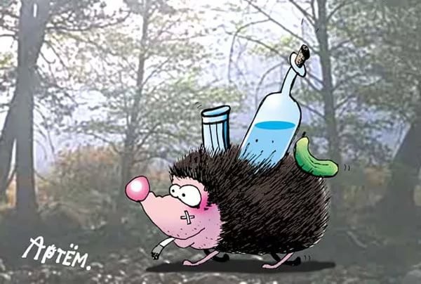 Пьющий Ежик