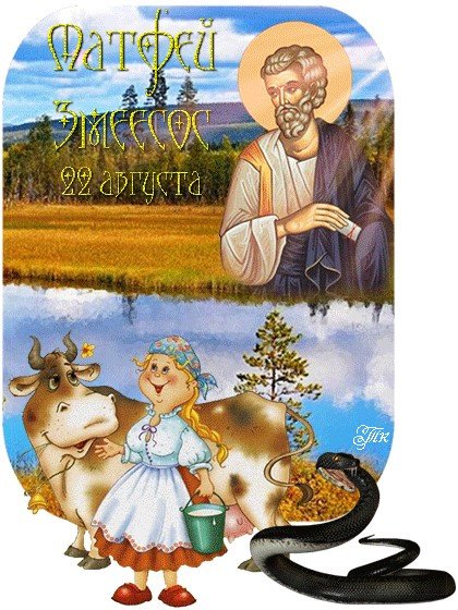 22 Августа – Матвей, Матфей–Змеесос