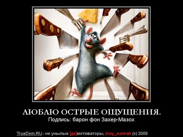 Фразы про острые ощущения