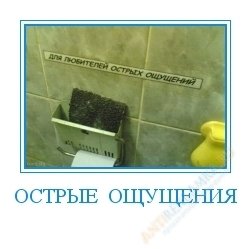 Фразы про острые ощущения