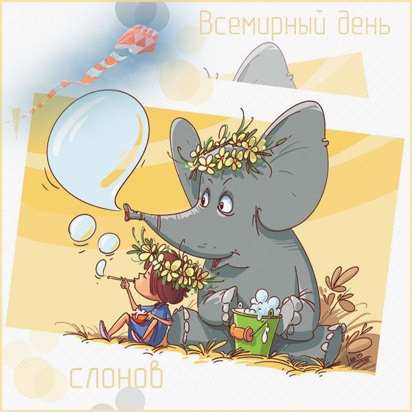 Всемирный день слонов 12 августа