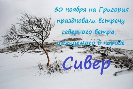 Григорий Зимоуказатель 30 ноября