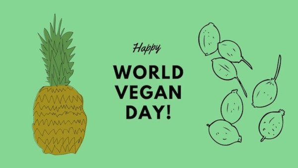 Веган девиз