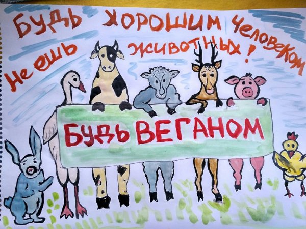 Организация защиты животных Вита