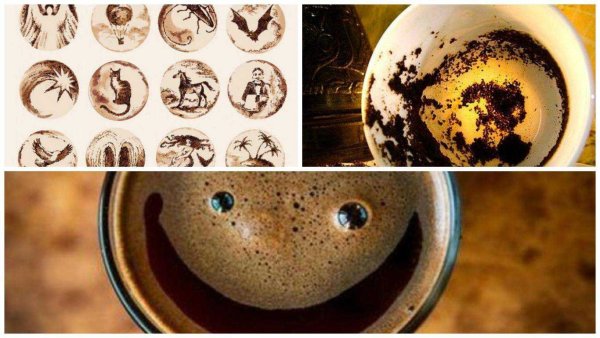 Пеликан на кофейной гуще