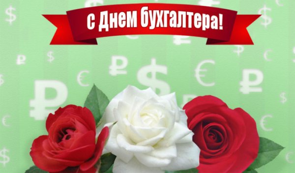День бухгалтера в ноябре 2021