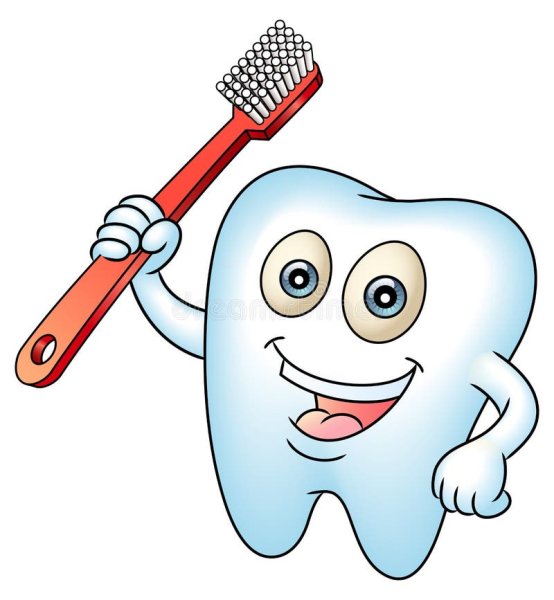 Стоматолог с зубной щеткой