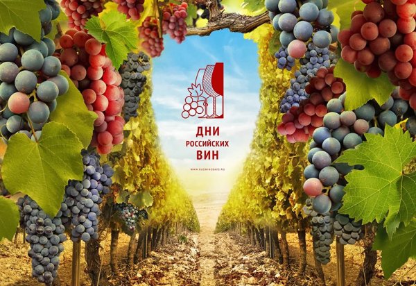 Дни российских вин